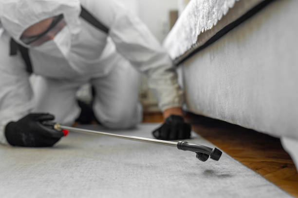Professional Bed Bug Control technician working in Macon County County, GA